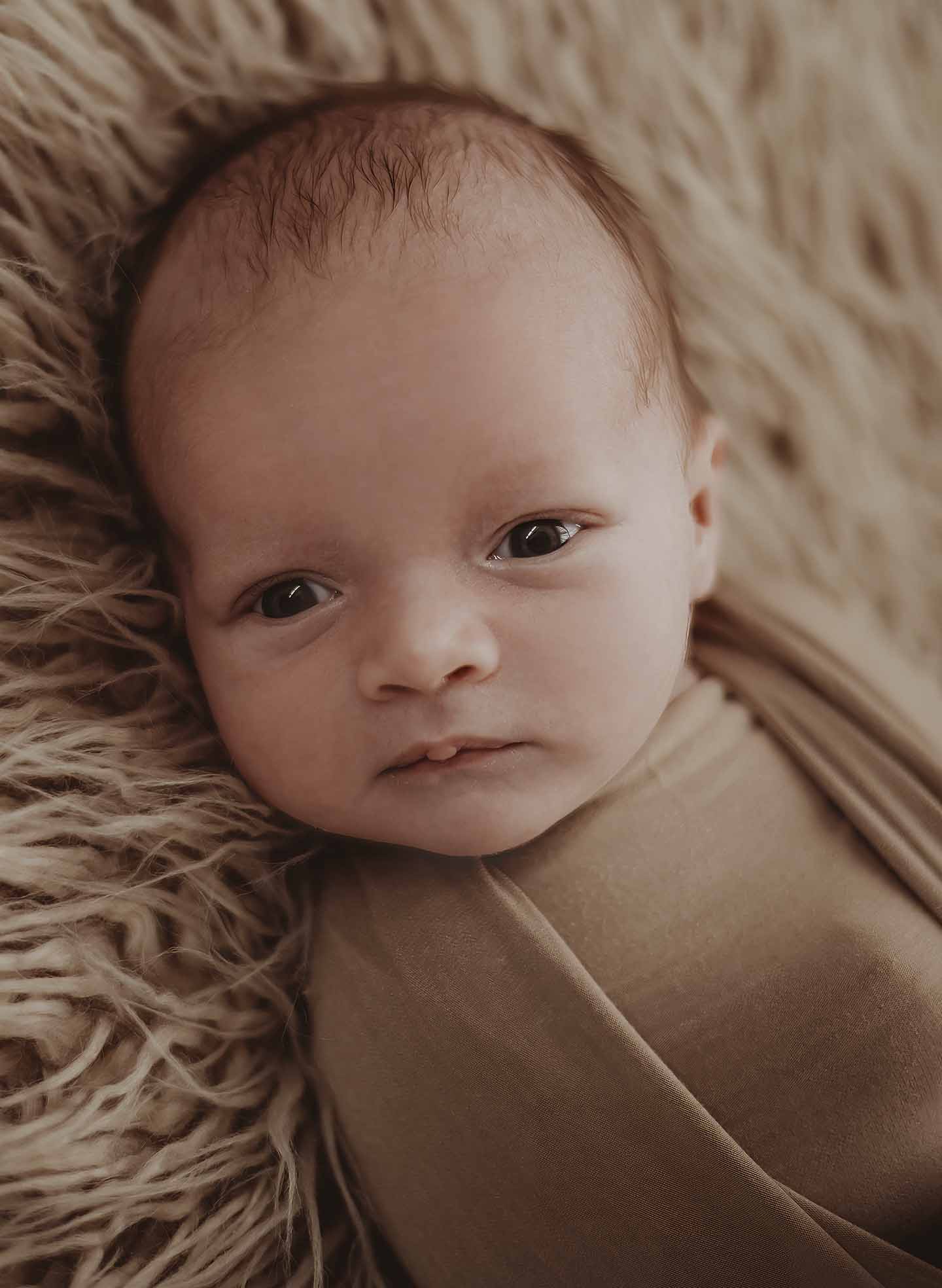newborn lifestyle fotograaf newbornshoot terneuzen zeeland belgie